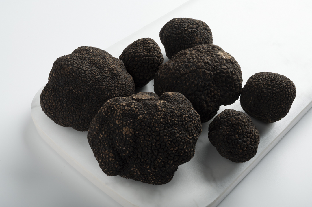 Winter Perigord Truffles